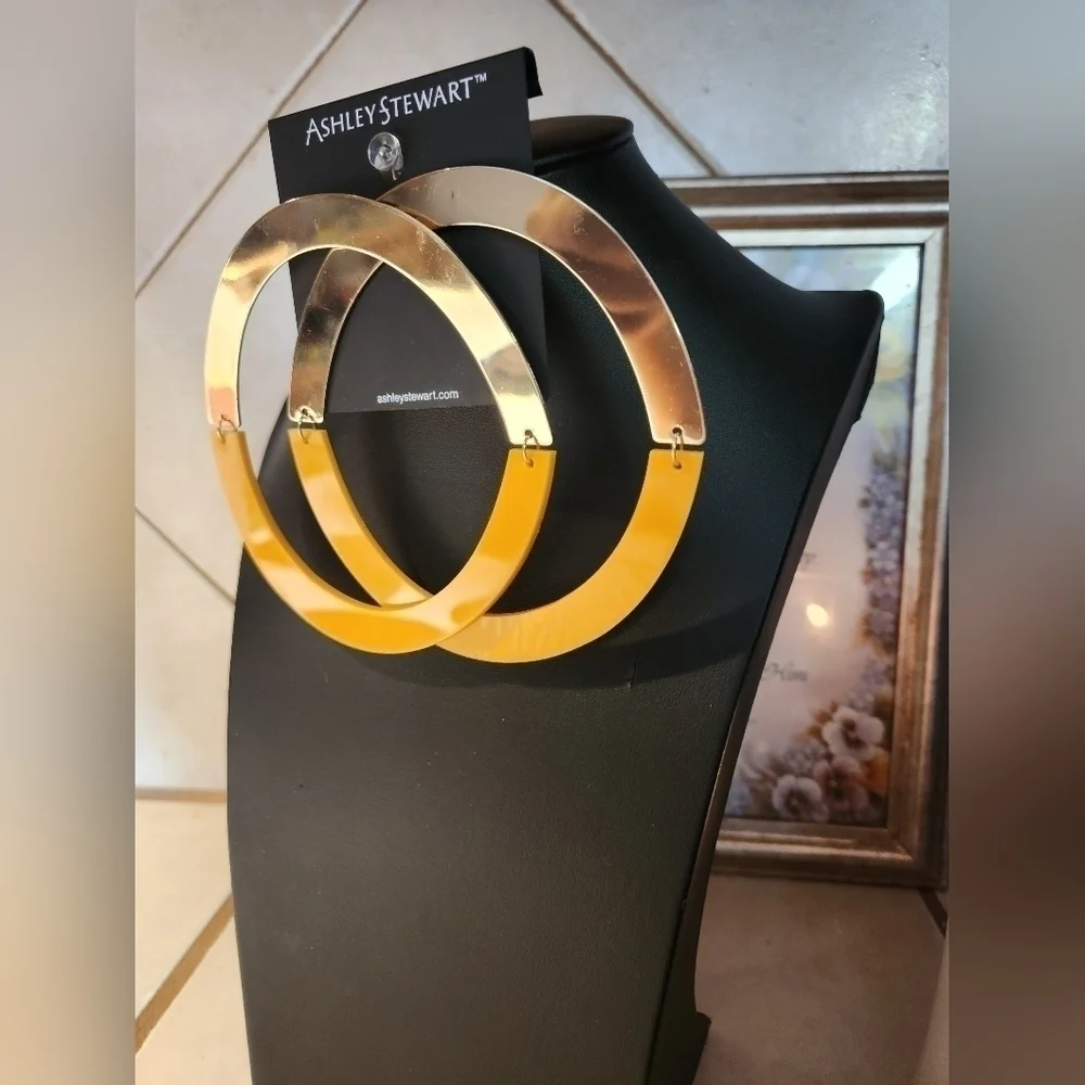 Large post back hoops! They fold for storage. - Picture 4 of 6